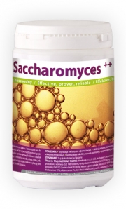 =saccharomyces__
